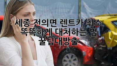 🚗💨 세종 전의면 렌트카 취소, 똑똑하게 대처하는 법! #꿀팁대방출